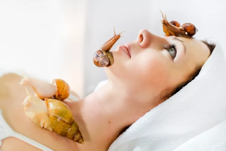 Everything About Snail Cream