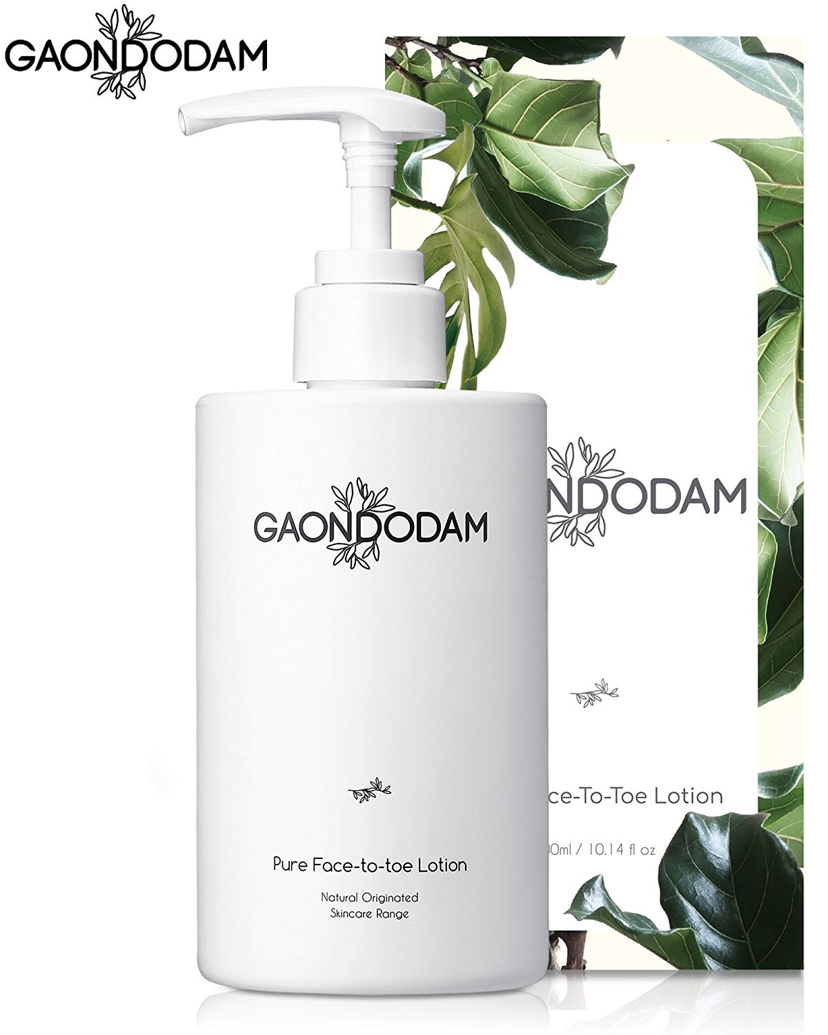 6 Best Korean Body Lotion in 2023Buying Guide