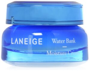 Laneige Water Bank Moisture Cream Reviews